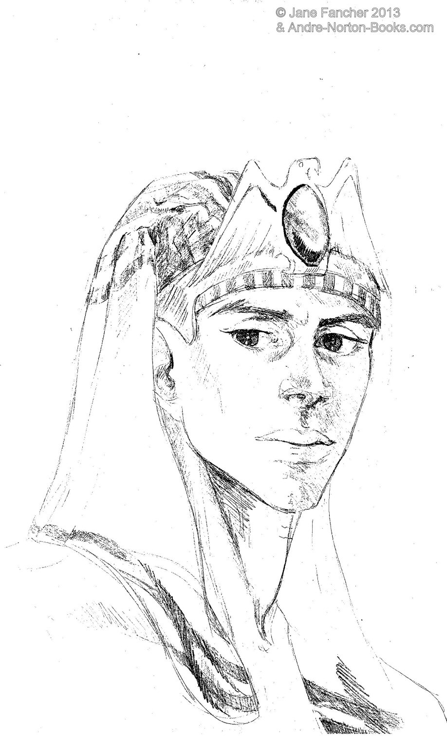 jane.fancher.08.shadowhawk